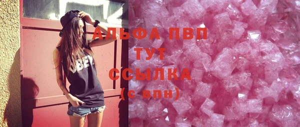 индика Балахна