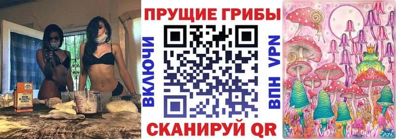 Галлюциногенные грибы мицелий  наркотики  Ковылкино 